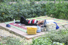 رویش در باغ ایرانی