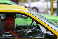 بارش باران بهاری در پایتخت 