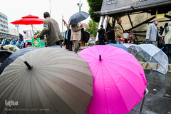 بارش باران بهاری در پایتخت 