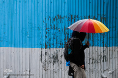 بارش باران بهاری در پایتخت 