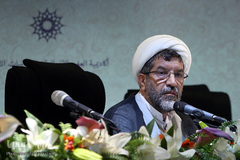 حجت‌الاسلام و المسملین حمید پارسانیا، عضو شورای عالی انقلاب فرهنگی