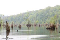 دریاچه ارواح