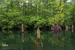 دریاچه ارواح