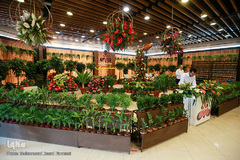 افتتاحیه شانزدهمین نمایشگاه بین المللی گل و گیاه