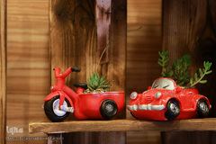 افتتاحیه شانزدهمین نمایشگاه بین المللی گل و گیاه