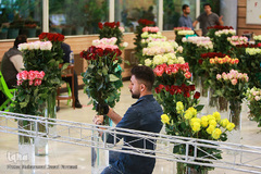 افتتاحیه شانزدهمین نمایشگاه بین المللی گل و گیاه