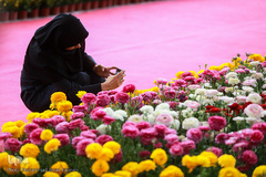 افتتاحیه شانزدهمین نمایشگاه بین المللی گل و گیاه