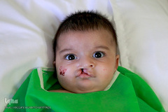 باران لبخند در کویر لب شکری های خراسان جنوبی