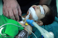 باران لبخند در کویر لب شکری های خراسان جنوبی