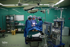 باران لبخند در کویر لب شکری های خراسان جنوبی