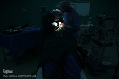 باران لبخند در کویر لب شکری های خراسان جنوبی