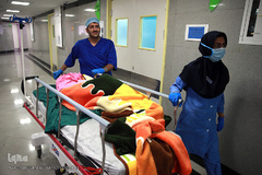 باران لبخند در کویر لب شکری های خراسان جنوبی