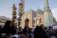 همایش بزرگداشت امامزادگان