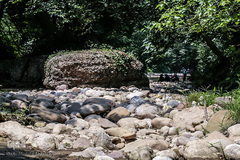 جنگل و رودخانه پلنگ دره