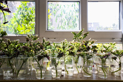 مؤسسه فرهنگی آموزشی هدایت میزان