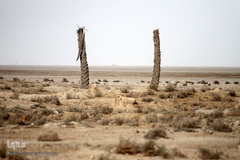 کمترین تحریری از یک زندگانی