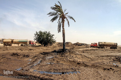 کمترین تحریری از یک زندگانی