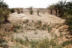 کمترین تحریری از یک زندگانی