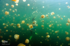 زندگی در اب