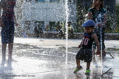 ز غوغای جهان فارغ