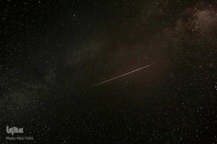 بارش شهابی برساوشی