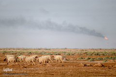 آبرسانی به روستاهای هویزه