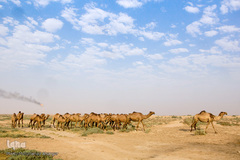 آبرسانی به روستاهای هویزه