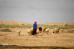 آبرسانی به روستاهای هویزه