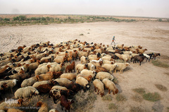 آبرسانی به روستاهای هویزه