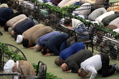 نماز عید سعید قربان به امامت حجت الاسلام سید احمد خاتمی