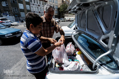 بازار داغ خرید و فروش دام در روز عید قربان