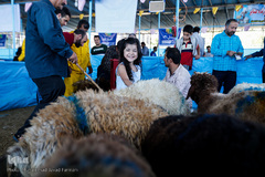 بازار داغ خرید و فروش دام در روز عید قربان