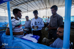 بازار داغ خرید و فروش دام در روز عید قربان