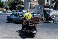 بازار داغ خرید و فروش دام در روز عید قربان