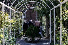 بزرگداشت روز ابن سینا