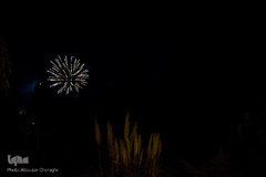 نمایشگاه گل و گیاه كرج