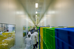 از تولید تا عرضه ای محصولات کارخانجات هلال احمر