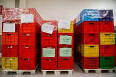 از تولید تا عرضه ای محصولات کارخانجات هلال احمر