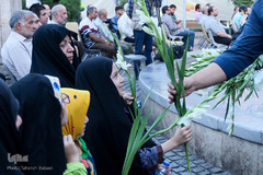 سالگرد بزرگداشت یوم‌الله هفدهم شهریور ماه