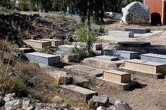 گورنشینان سرپل ذهاب