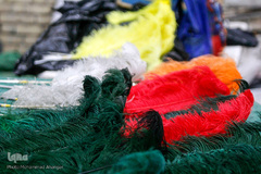 علامت‎، نماد عزاداری حسینی