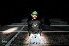 سوگواره «احلی من العسل»