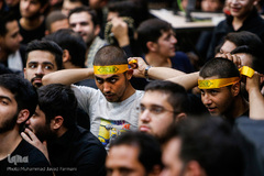 عزاداری شب هشتم محرم / هیئت ریحان الحسین(س)