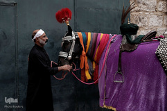 یک مرد مسلمان شیعه در یونان، اسب خود را برای شرکت در مراسم محرم در پیره، نزدیک آتن آماده می کند