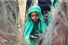 تعزیه شهادت امام حسین(ع)  در نوش آباد کاشان