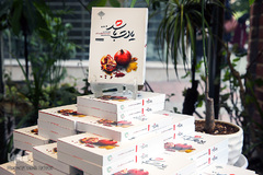 جشن امضای کتاب «یادت باشد»