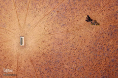 بحرانی که نمی بینم / خشکسالی