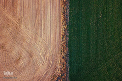 بحرانی که نمی بینم / خشکسالی