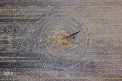 بحرانی که نمی بینم / خشکسالی