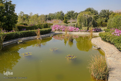 باغ گیاه شناسی ملی ایران